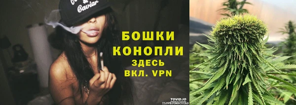 прущие крисы Богданович