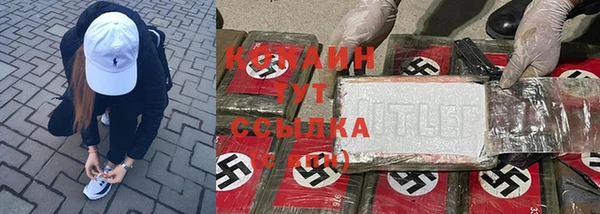 прущие крисы Богданович