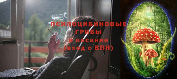 mix Богородск