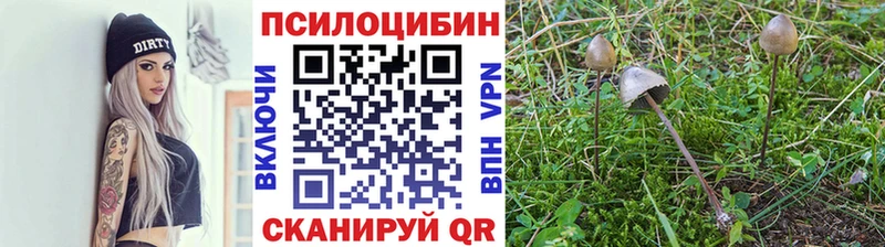 Галлюциногенные грибы мухоморы  продажа наркотиков  Волчанск 